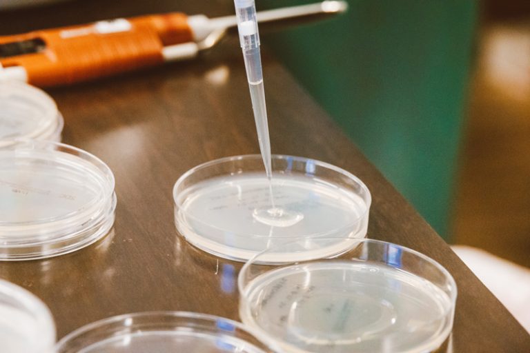 What is ORP? What is appropriate ORP for potable drinking water? Is ORP useful for our facility